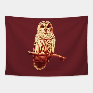 Barred Owl (no Background) Tapestry