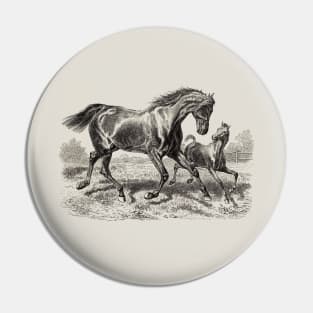 Horse Black & White Illustration - A Mare with a Foal Pin