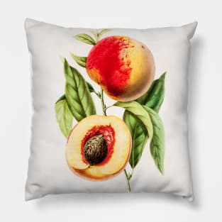 Hand drawn apricot peach Pillow