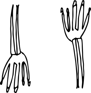 hand skeleton Magnet