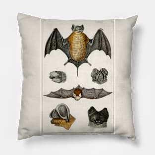 Vintage Bat Pillow