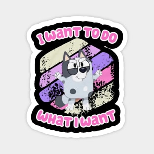 i want to do Magnet