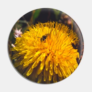 A bee on a dandelion Pin