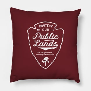 Public Lands White Graphic Pillow