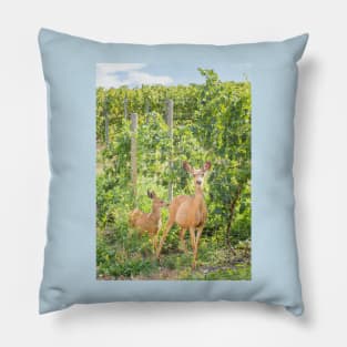 Doe and Fawn Standing in Summer Vineyard Pillow