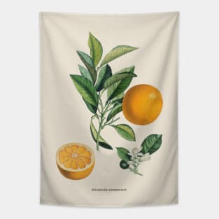 Orange Antique Botanical Illustration Tapestry