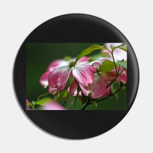 Dogwood Blossoms Pin