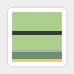 An admirable variety of Greyish, Charcoal, Slate Green, Pale Olive Green and Sand stripes. Magnet