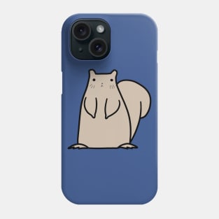 Gray Squirrel Phone Case