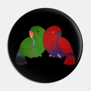 Two Eclectus Pin