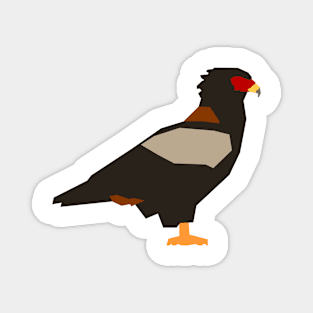 Bateleur Eagle Magnet