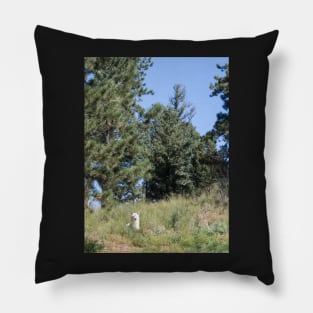 Endangered Beauty Pillow