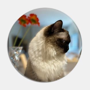 Ragdoll Cat Pin