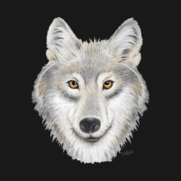 Gray Wolf Portrait by Cozmic Cat