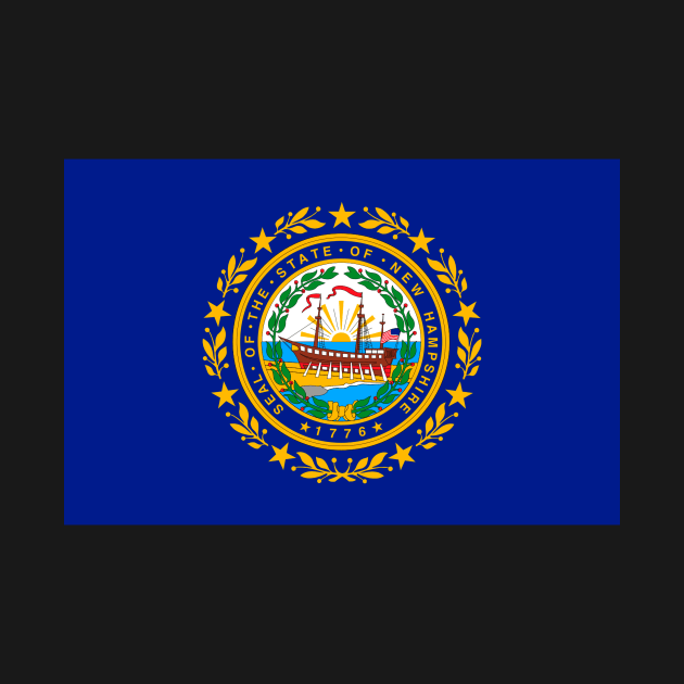 New Hampshire Flag by taoistviking