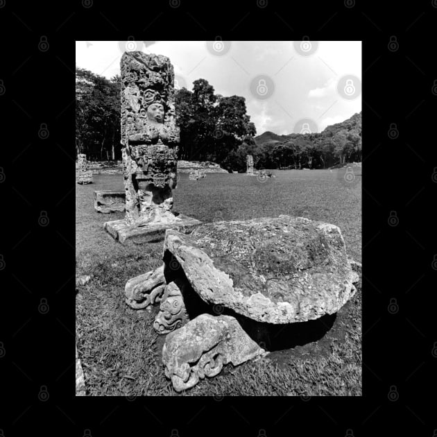 Mayan Ruins of Copan Cosmic turtle by In Memory of Jerry Frank