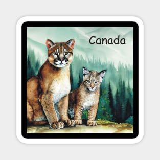 Canada Cougars . Magnet