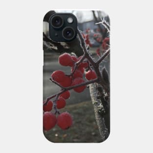 Frosty Mountain Ash Berries Phone Case