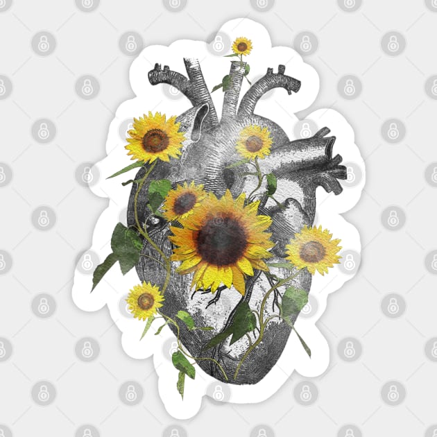 anatomical heart sunflowers cardiac nurse - Anatomical Heart