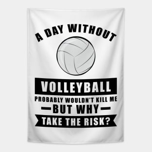 A day without Volleyball probably wouldn't kill me but why take the risk Tapestry