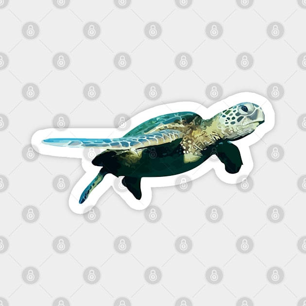 Green Sea Turtle Magnet by Looly Elzayat