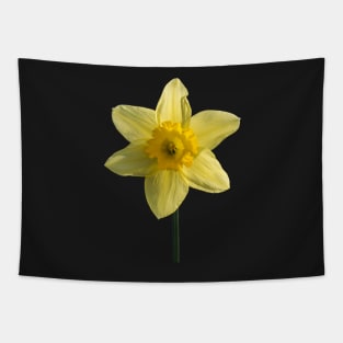 The Daffodil Tapestry