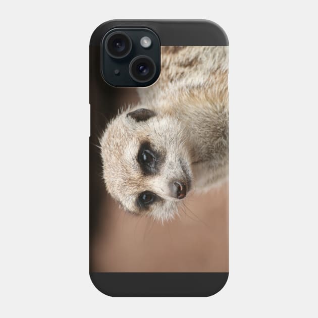 Meerkat Phone Case by LeanneAllen