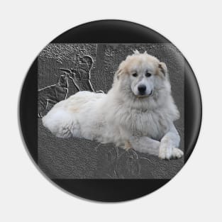 Pyrenees mountain dog in greybackground. Pin