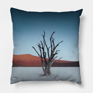 Dead Marsh 2 Pillow