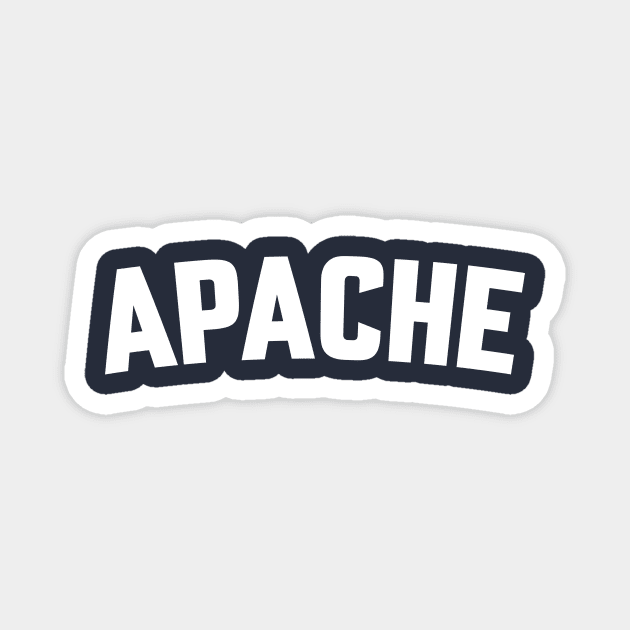 APACHE Magnet by LOS ALAMOS PROJECT T