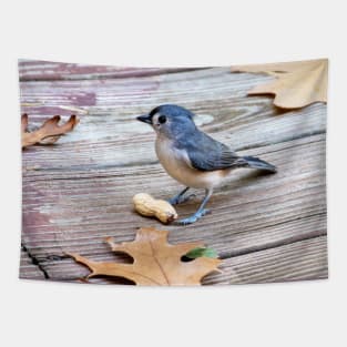 Tiny blue bird stands guard over a peanut Tapestry