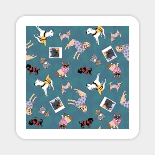 Animals on vacation on blue Magnet