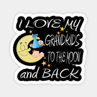 I Love My Grandkids to the Moon and Back Shirt and Gift Items Magnet