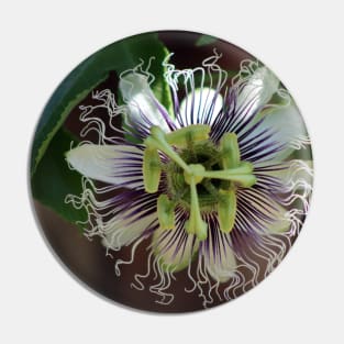 Passion Flower Pin