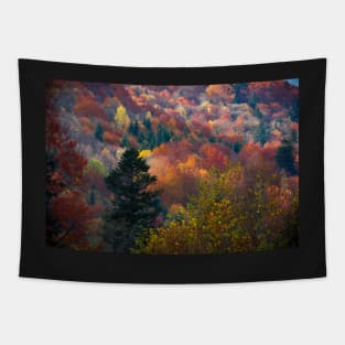 Autumn carpathian forest Tapestry