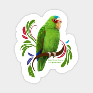 White Fronted Amazon Parrot Magnet