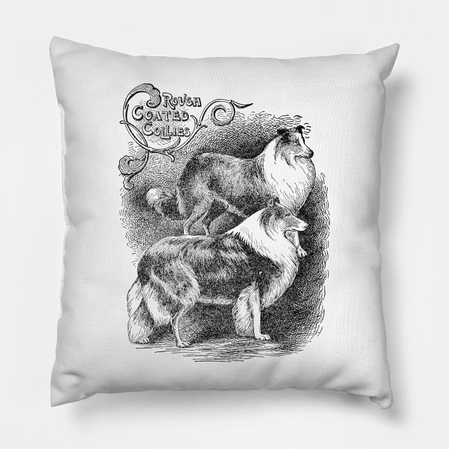 Rough Coated Collies Black and White Dog Illustration Pillow by Biophilia