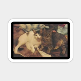 Cat Lover Gifts. Adorable Feline Bond Magnet