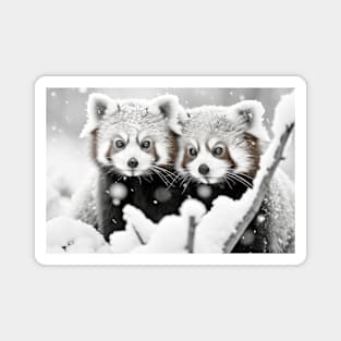 Red Panda Animal Discovery Wild Nature Ink Sketch Style Magnet