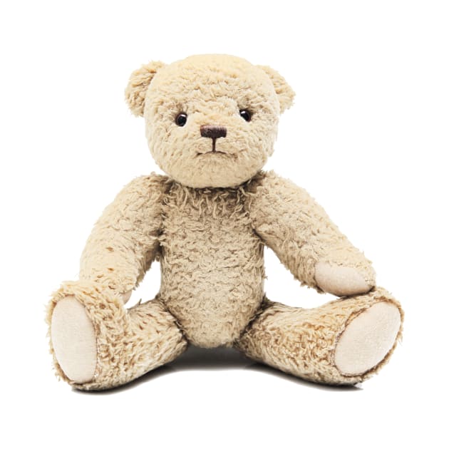 Plush Toy Teddy Bear by ernstc