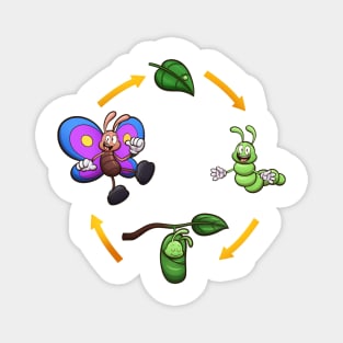 Cartoon Butterfly Life Cycle Magnet