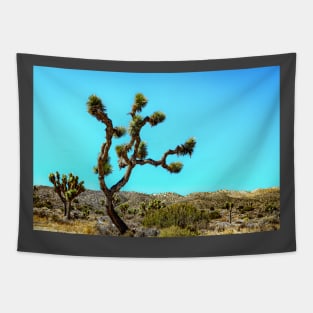 Joshua Tree National Park, California Tapestry