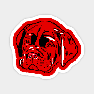 Dog Cane Corso  puppies on red background Magnet