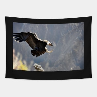 Pérou - canyon de colca, Condor Tapestry