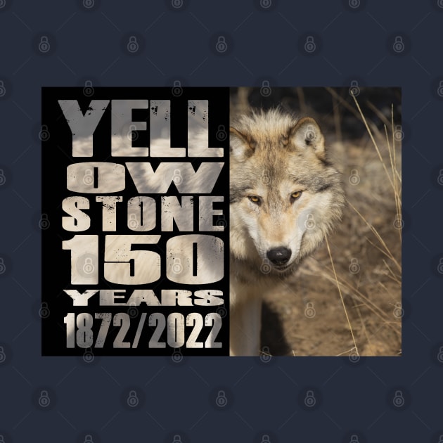 Yellowstone  Wolf 150 Year Celebration  - 150 Years of Yellowstone by Smyrna Buffalo