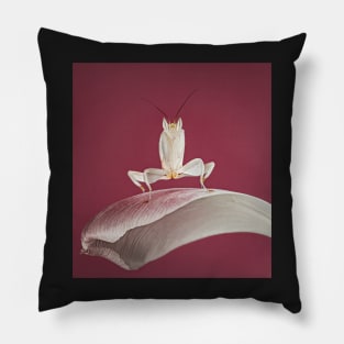 praying mantis on a petal Pillow
