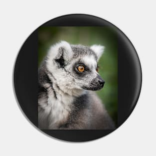 Ring-tailed Lemur Portrait Pin