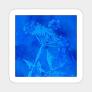 Neon Blue Cow Parsley Magnet