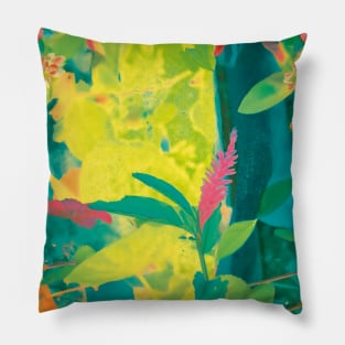 jardim Pillow