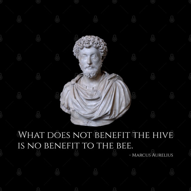 Caesar Marcus Aurelius Quote - Ancient Rome Stoic Philosophy by Styr Designs